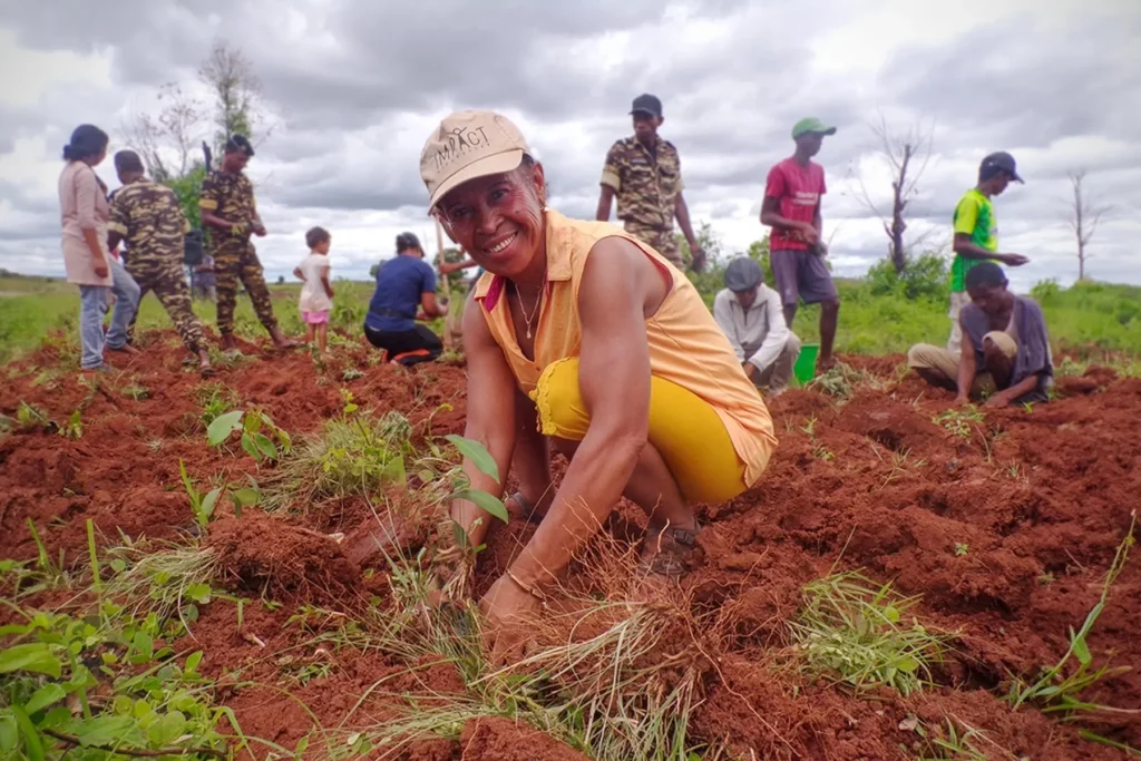Madagascar Planting Elevation Hat main image 1