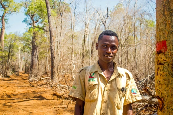Against all odds, deforestation in Madagascar’s Menabe Antimena is coming to a halt