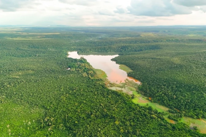 A bold “zero deforestation” commitment for Ankarafantsika National Park