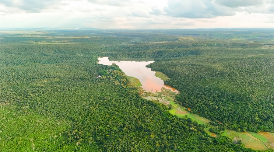 A bold “zero deforestation” commitment for Ankarafantsika National Park